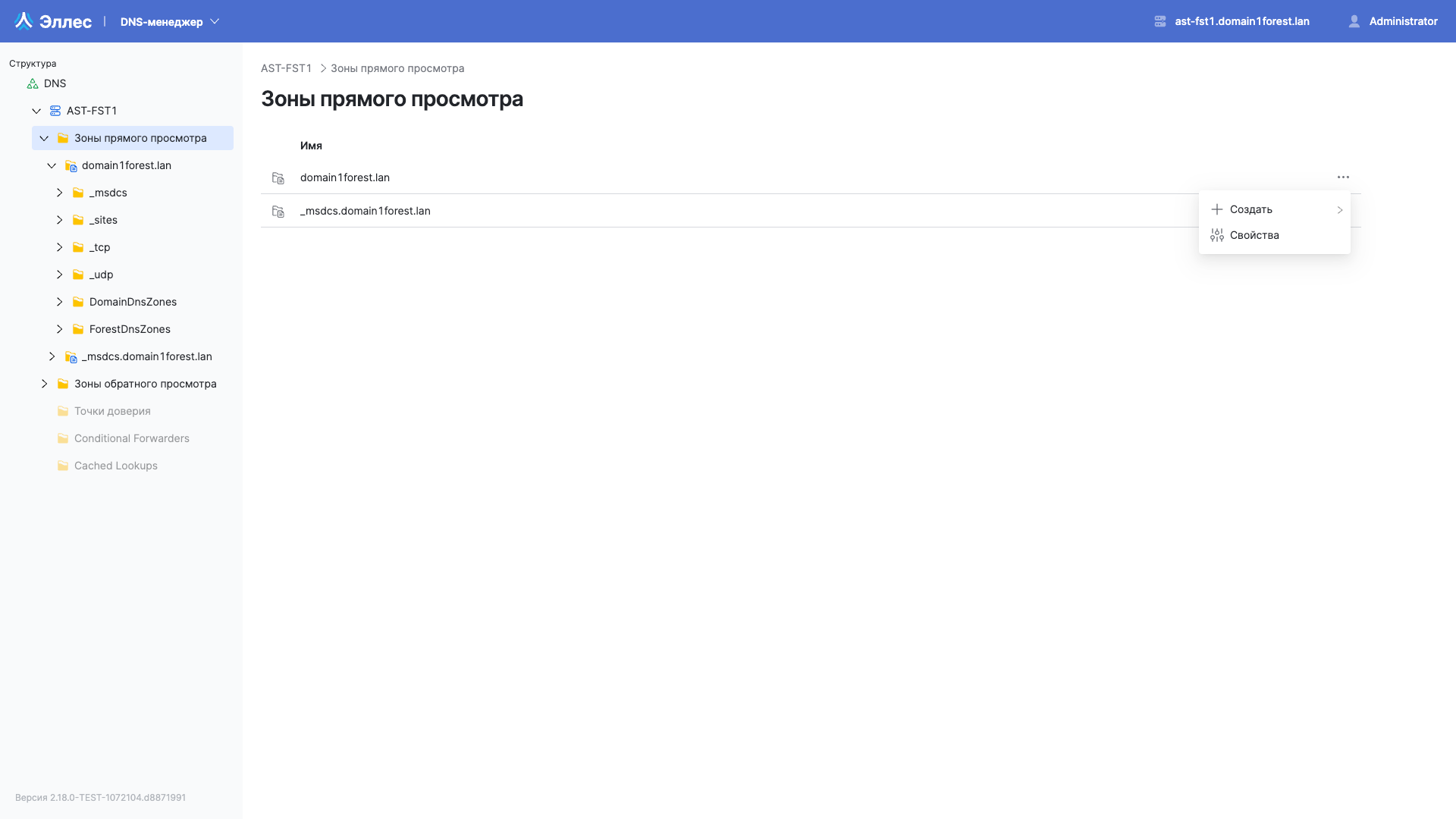 dsm dns zone properties