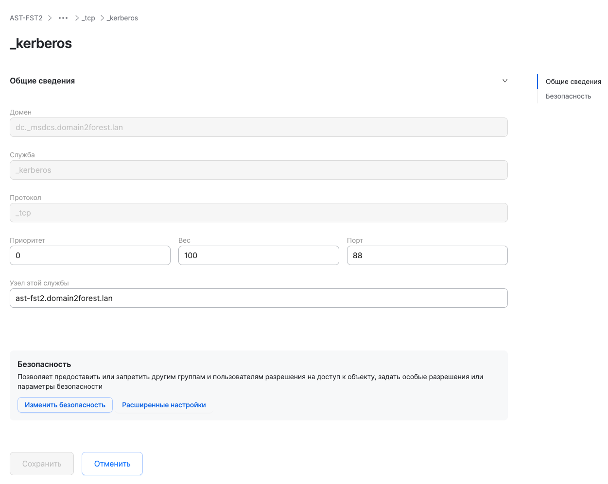 dsm dns view srv