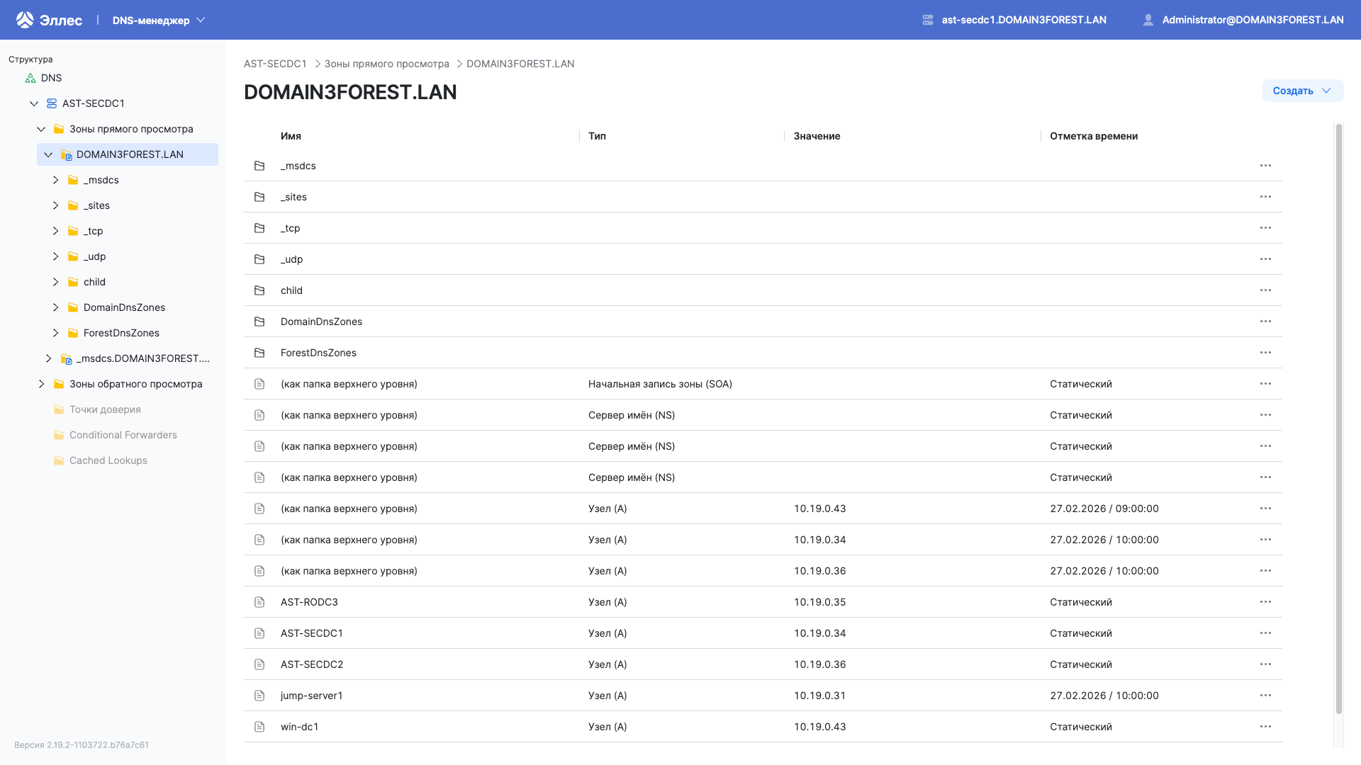 dsm dns records