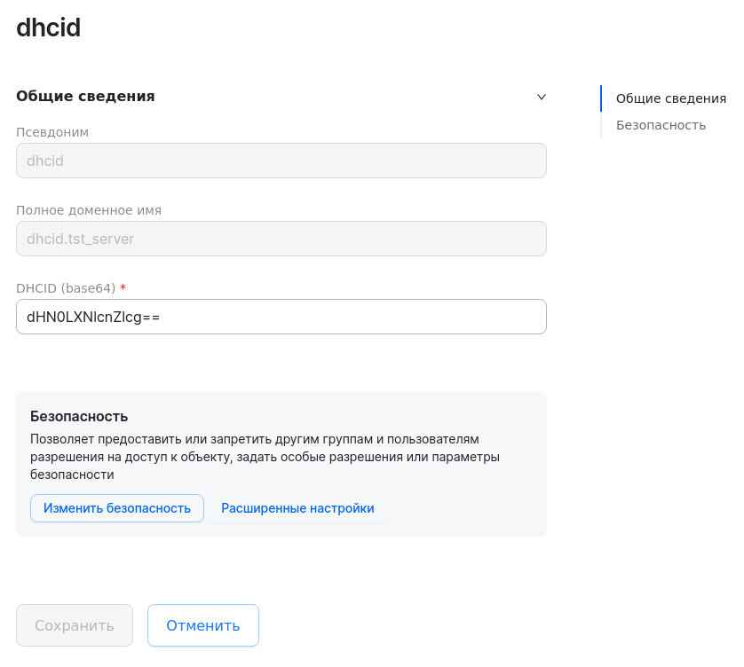 dsm dns view dhcid