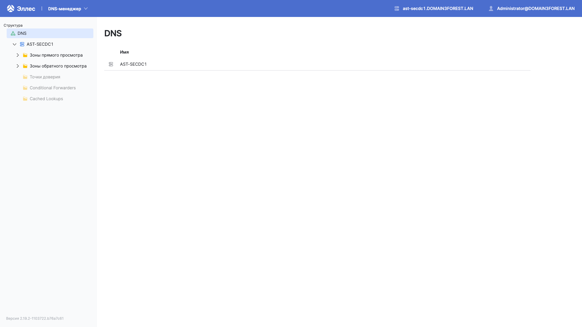 dsm dns main