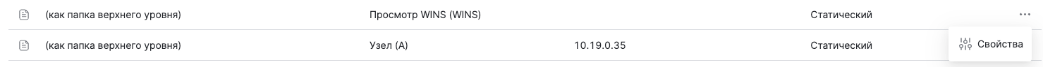 dsm dns wins properties