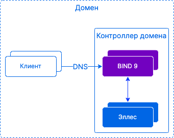 dns deployment
