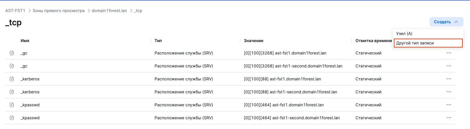 dsm dns add srv 1