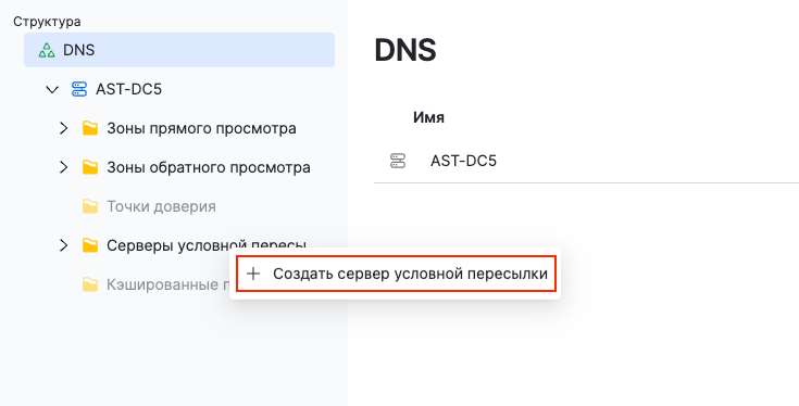 dsm dns create conditional forwarding zone 1