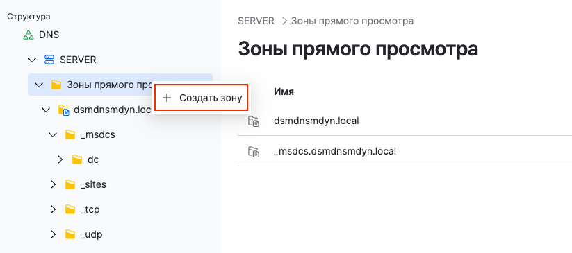 dsm dns create forward dns zone