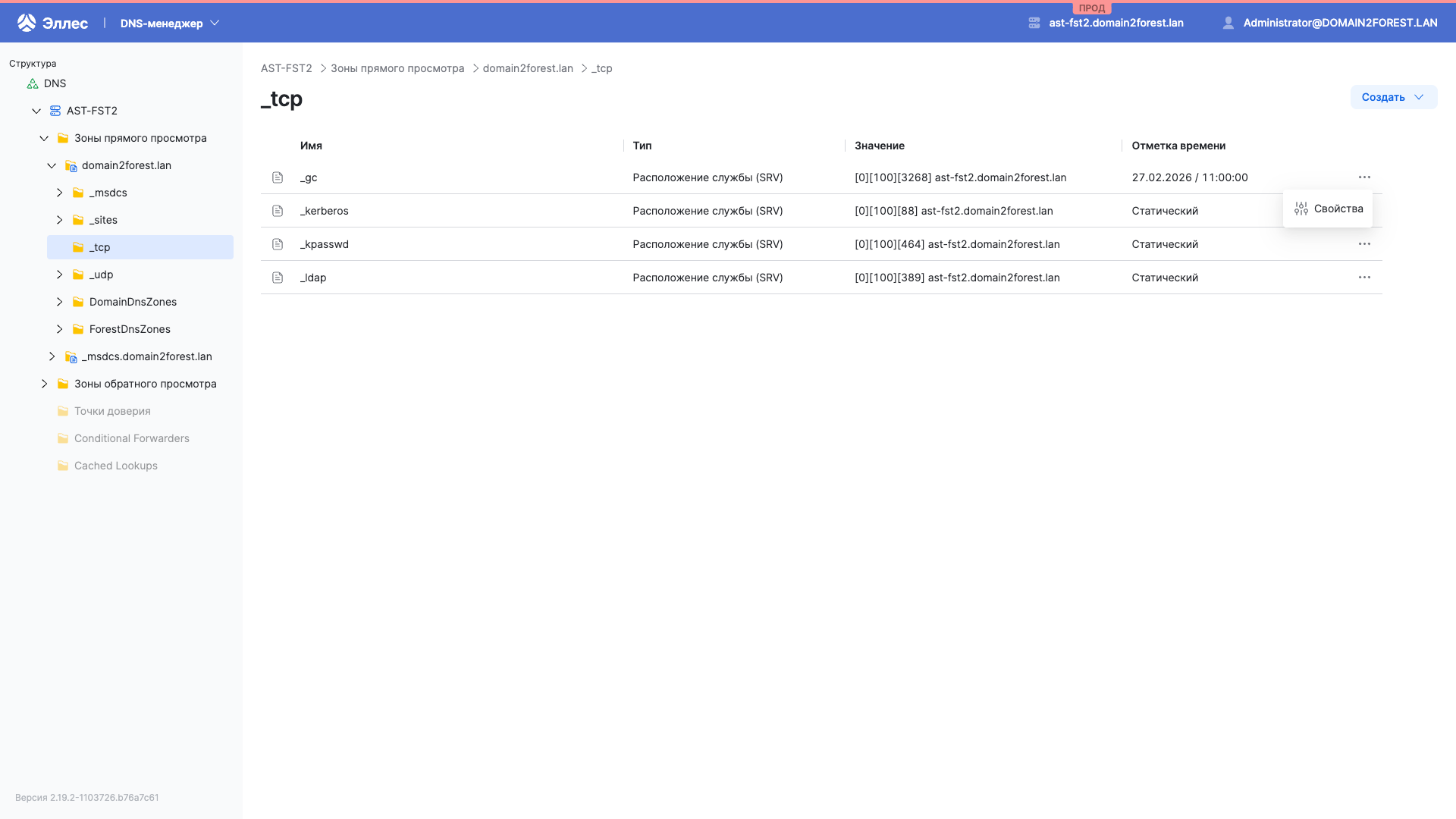 dsm dns srv properties