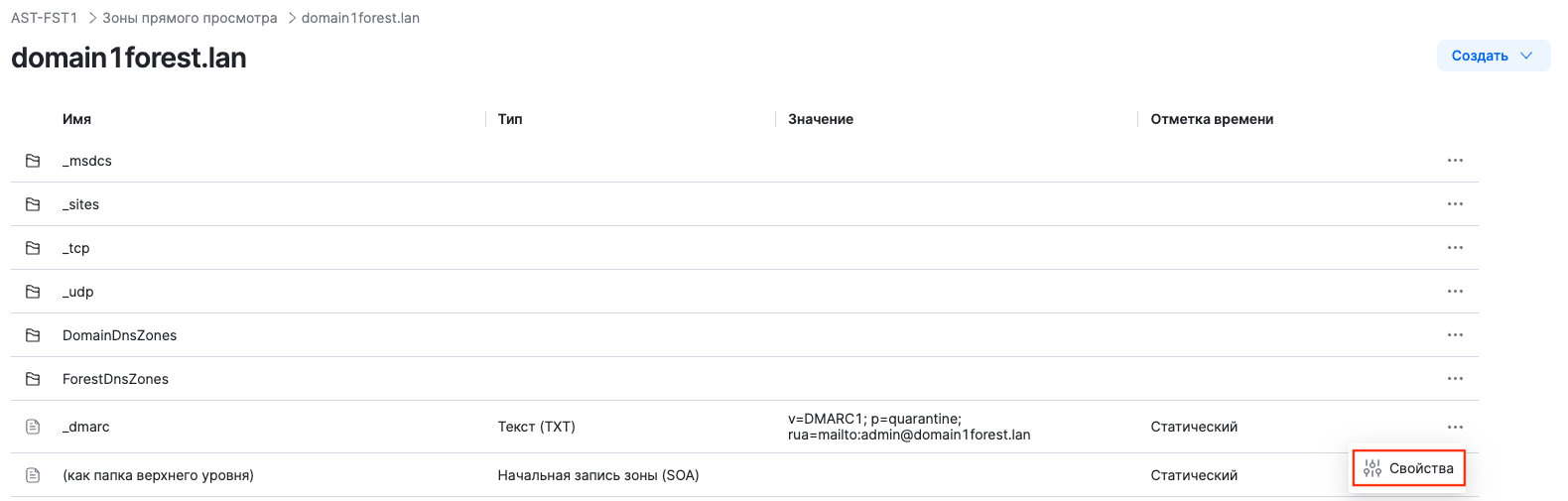 dsm dns txt properties