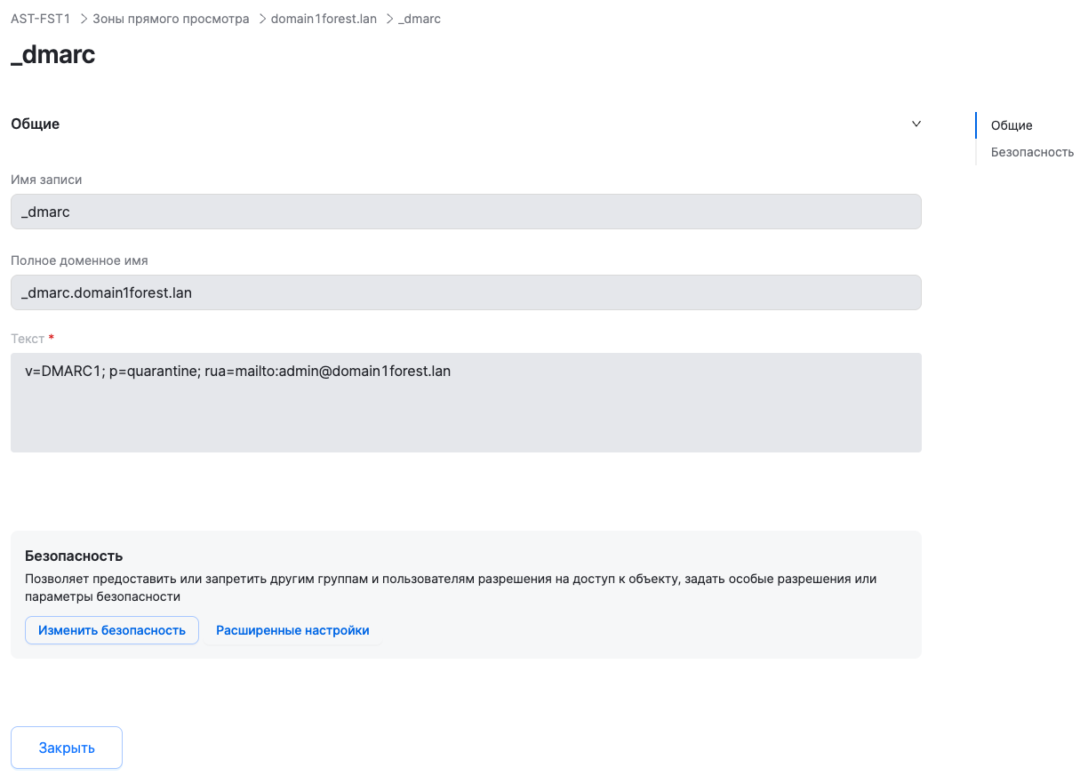 dsm dns view txt