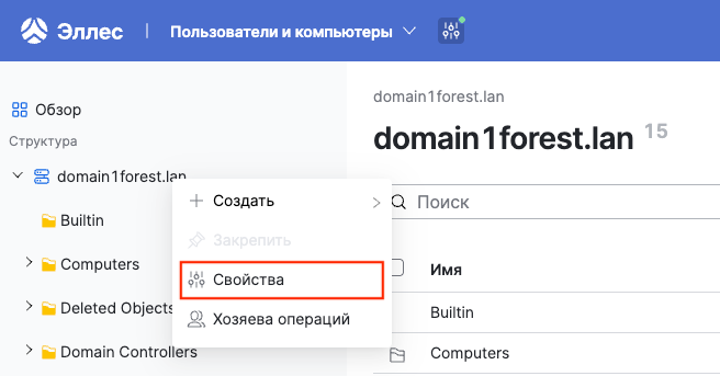 dsm domain properties